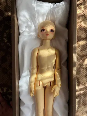 슈퍼돌피 SDM 원오프 모델 F-41 페어 스킨