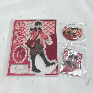 사파리아 1주년 안경 3종 세트