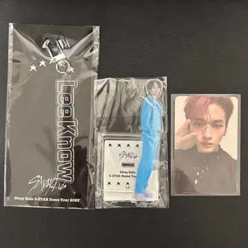 straykids 리노 5star dometour 네임 키링