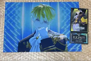 니지산지 페스티벌 Overture 빅 카드 서니 블리스코