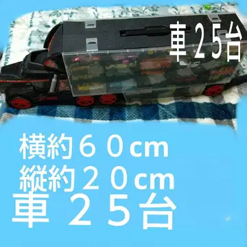 트랙 미니카 커리어 45대 수납 묶음 판매