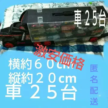 트랙 미니카 커리어 45대 수납 묶음 판매