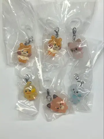 zeroni 메지루시 참 6세트