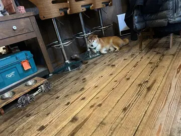 TAION 밀리터리 다운 풀오버