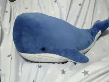파란 고래 봉제 인형