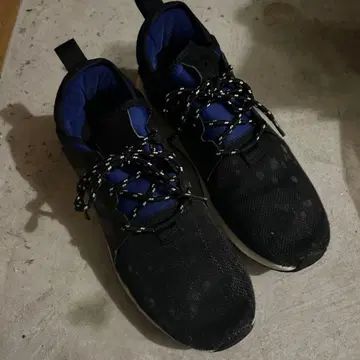 신발 블랙/파랑