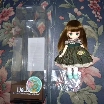 아마무스 썸머 루