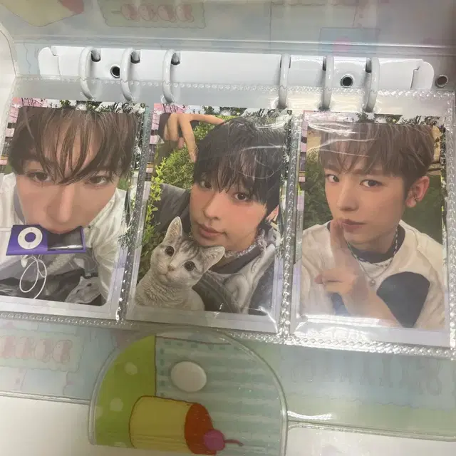 엔시티위시 컬러 앨범포카 일괄