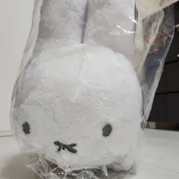 타이토 복권 브루나 애니멀 A상 특대 사이즈 봉제 인형 토끼