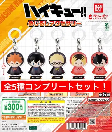 하이큐!! 메지루시 액세서리 전 종류 컴플리트 세트
