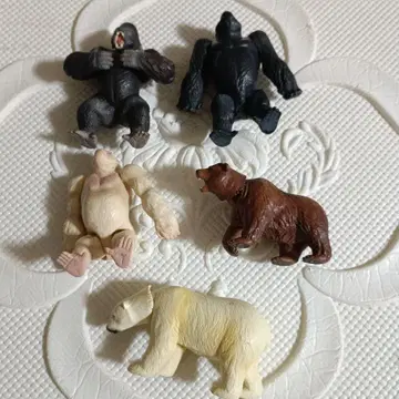 아니아 동물 피규어 세트 고릴라 곰 5체