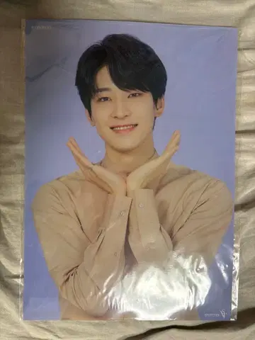 SEVENTEEN 원우 클리어 포스터