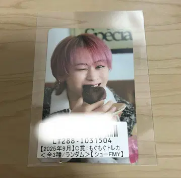 초특급 슈야 키라리 스크래치