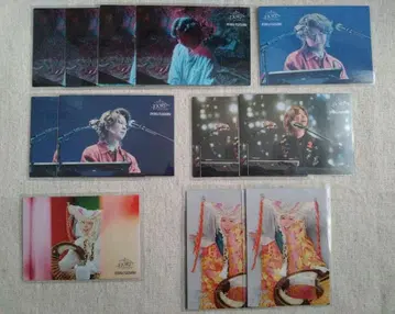 Mrs. GREEN APPLE 피오르 포토 카드 후지사와 료카 12장