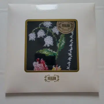 페이러 가정화보 손수건
