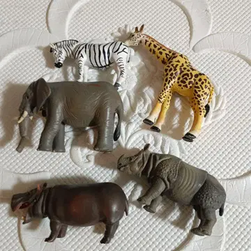 아니아 동물 피규어 세트 코끼리 기린 얼룩말 하마 코뿔소 5개
