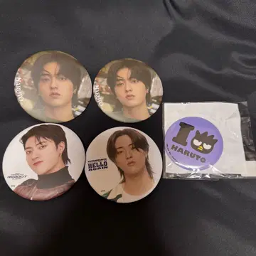 TREASURE 하루토 캔뱃지 하피단부이