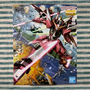 [ MG 1/100 인피니트 저스티스 건담 ] 익명 배송