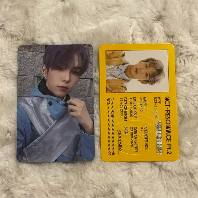 일괄) 엔시티 라이즈 쇼타로 포카 nct 앨범