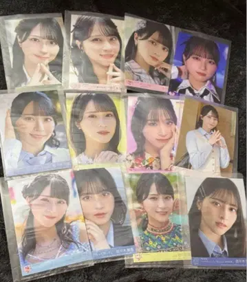 이코라브 사사키 마이카 생사진