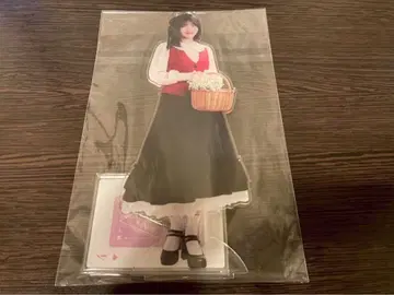 하야시 루나 노기자카46 NOGI메쿠리 A상 BIG 아크릴 스탠드 모바일