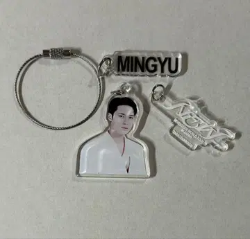 SEVENTEEN DIY 키참 민규