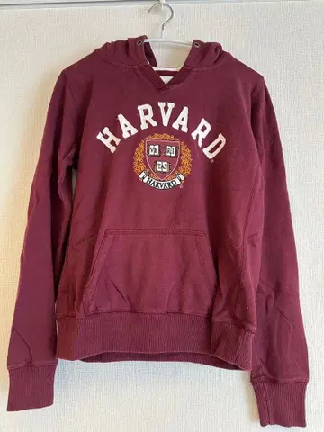 HARVARD 버건디 후드 부착 트레이닝복