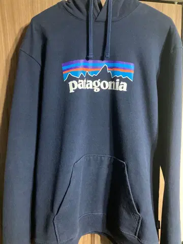 patagonia(파타고니아) 풀오버 후드티 L 사이즈
