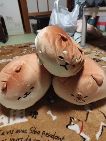 이스트 켄 봉제 인형 시바코페, 토사팥