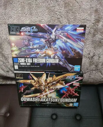 건담 프라모델 HG 프리덤 건담 아카츠키 건담 오오와시 장비