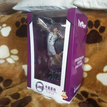 더욱더 높은 곳을 향해 하이큐 라스트 원상 우시지마 와카토시 리얼 피규어