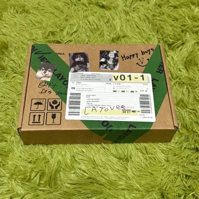 BTS 방탄소년단 뷔 LAYOVER 솔로 앨범 그린