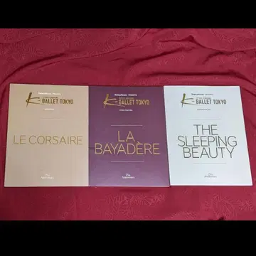 K 발레 도쿄 K-BALLET TOKYO 공연 팜플렛 3권