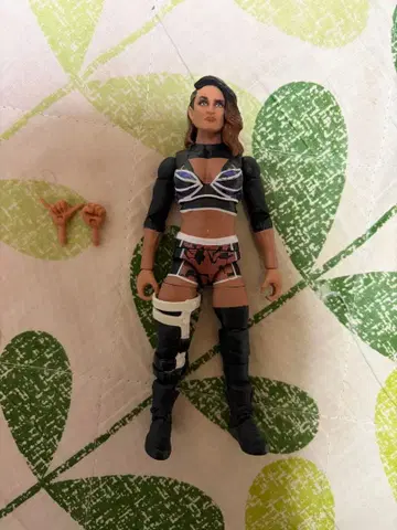 WWE 다코타 카이 피규어