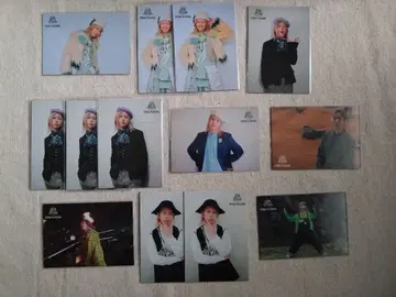 Mrs. GREEN APPLE 젠진 포토 카드 후지와라 료카 13장