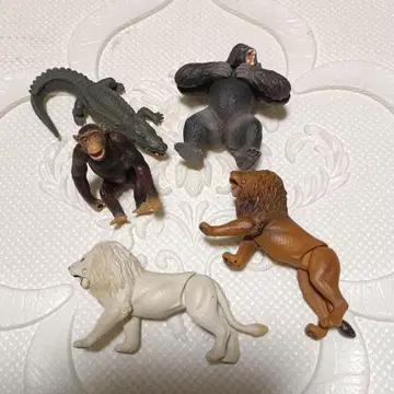 아니아 동물 피규어 세트 5체