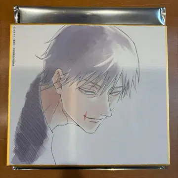 애니메이션 주술회전전 후시구로 토우지 색지