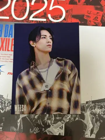 WEESA 트레이딩 카드