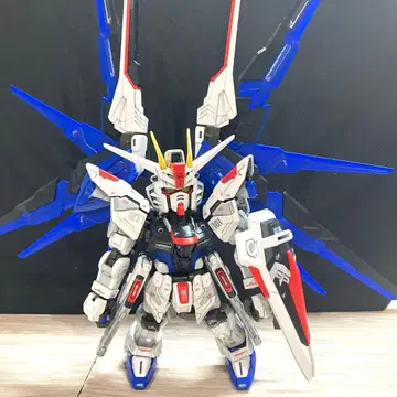 MGSD 프리덤 건담 정크제품