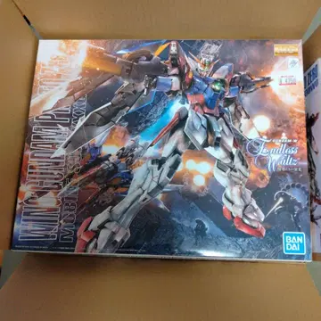 MG 1/100 프로토 제로