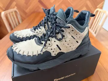 Flower Mountain WinterField FM02076