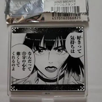 WIND BREAKER 윈브레 아크릴 스탠드 츠바키노 유스케