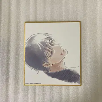 주술회전전 회옥옥절 블라인드 미니 색지 후시구로 토우지