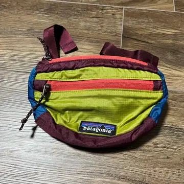 파타고니아 웨스트 파우치 힙 백 멀티 컬러