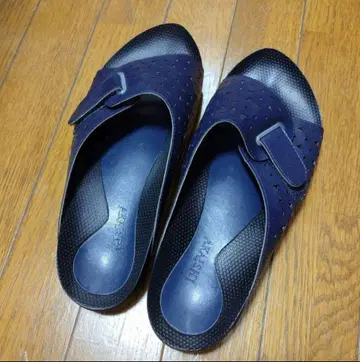 아카이시 아치 피터 4L