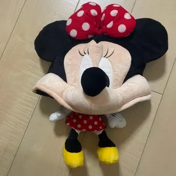 디즈니 미니 팬캡