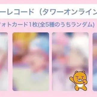 플레이브 플뿌 타워 타워레코드 예준 미공포 포카 앨범 양도