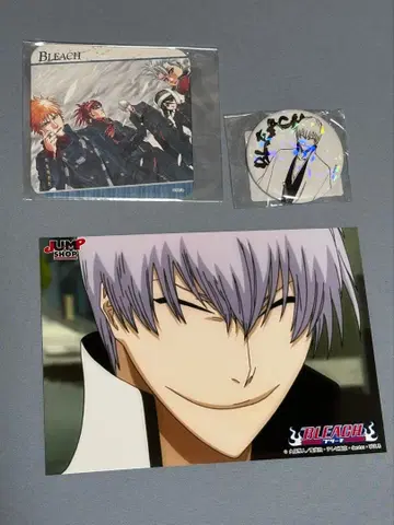 BLEACH 이치마루 긴 세트 26