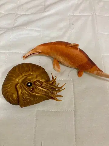 템노돈토사우루스 오무가이 SEA DINOS 바다의 공룡&co 안드코