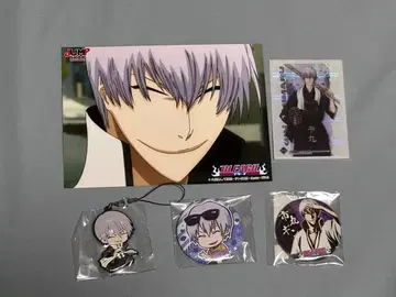 BLEACH 이치마루 긴 세트 25